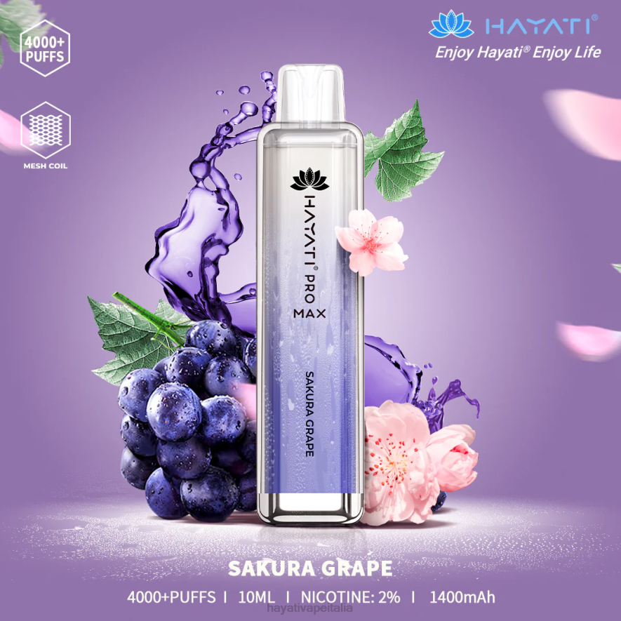 uva sakura